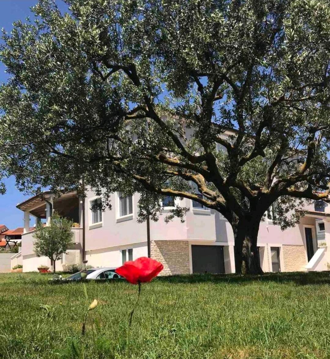 Melisa Apartament Pula