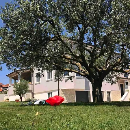 Apartments Melisa Pula Exterior photo